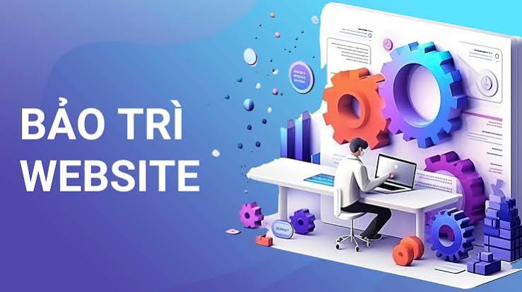 Bảo trì & Hỗ trợ